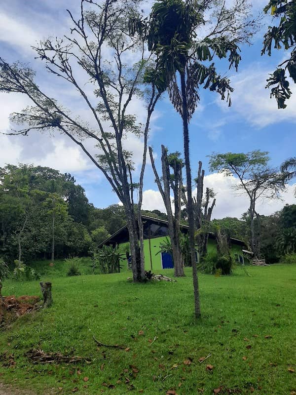 Horto Florestal de Guarulhos - Água Azul - Image 1