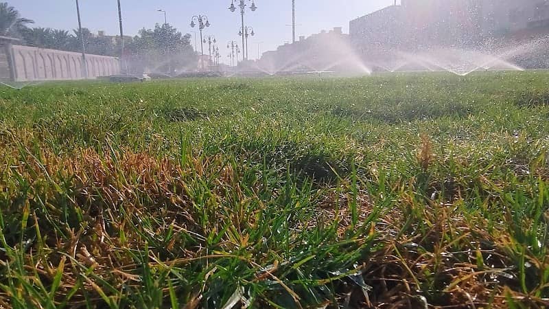 حديقة الخضراء - Image 1