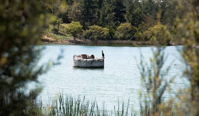 Frankston Nature Conservation Reserve (Parks Victoria) - Image 2