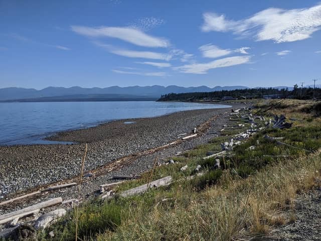 Point Holmes - Image 1