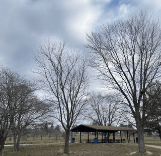 Rochester Community Park - Image 1