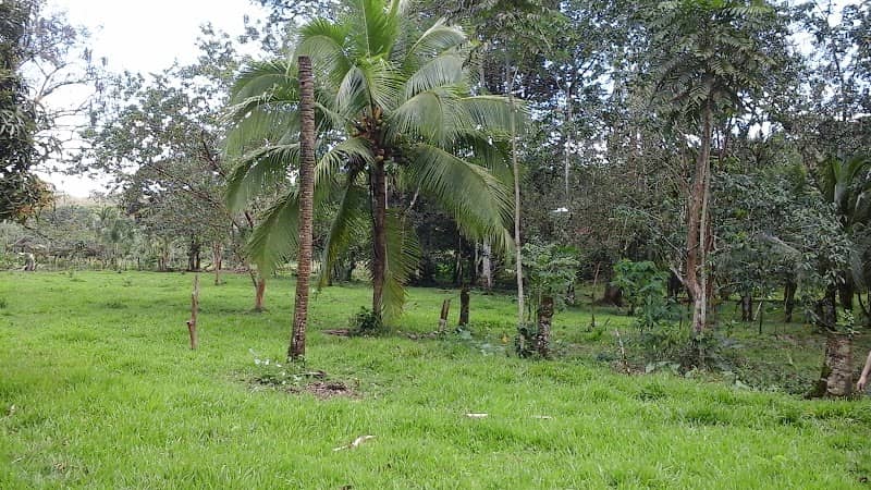Finca Coquí - Image 1