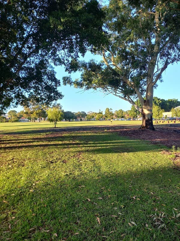Broun Park - Image 1