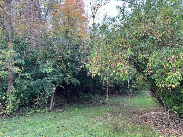 Mount Gilead state Park Equestrian Trails - Image 2