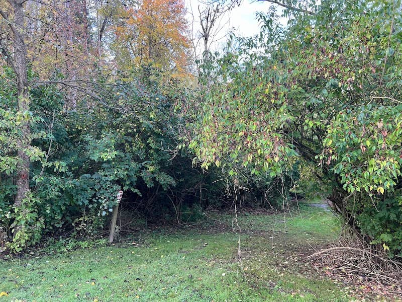 Mount Gilead state Park Equestrian Trails - Image 2