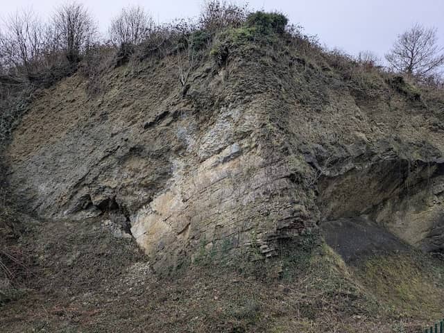 Wren's Nest - Image 2