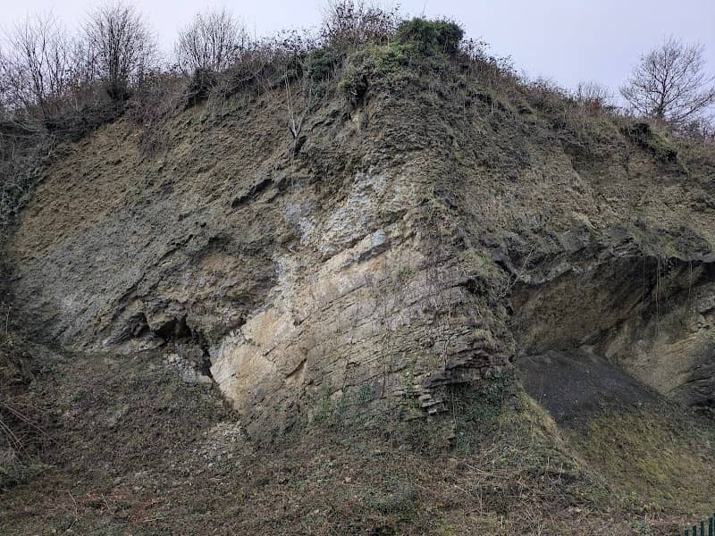 Wren's Nest - Image 2