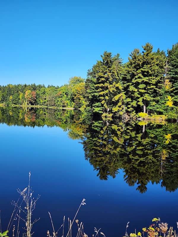Black River Running Trail Head - Image 1