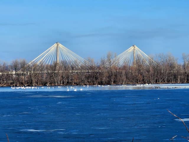 Audubon Center at Riverlands - Image 1