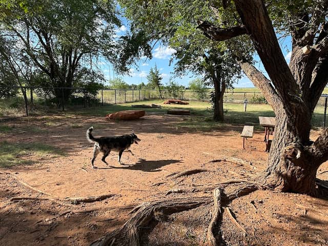 Phillips 66 Dog Park - Image 1