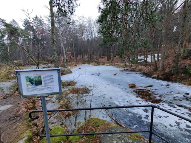 Svarttjern - Image 1