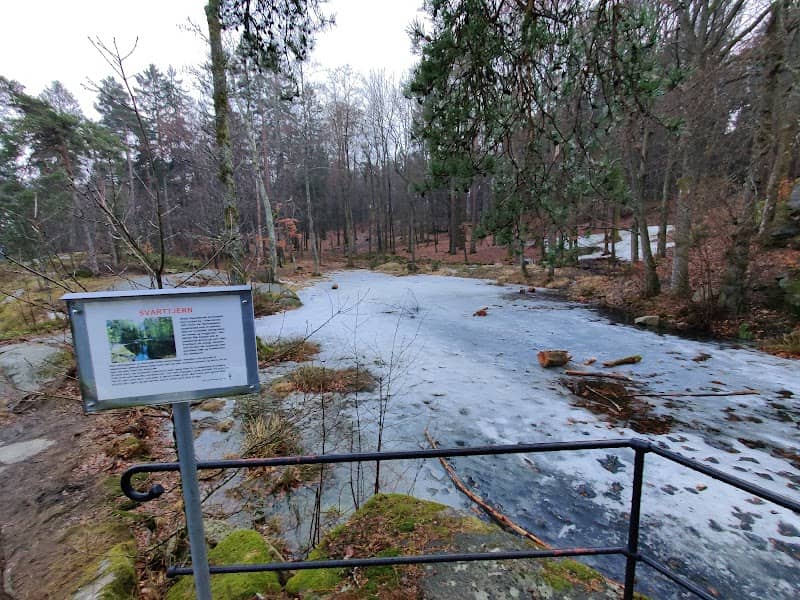 Svarttjern - Image 1