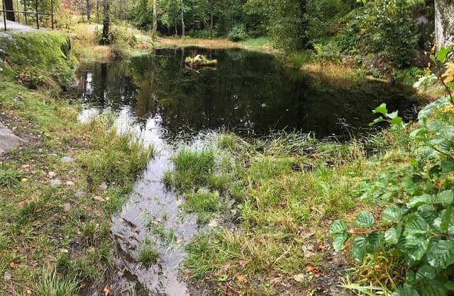 Svarttjern - Image 2