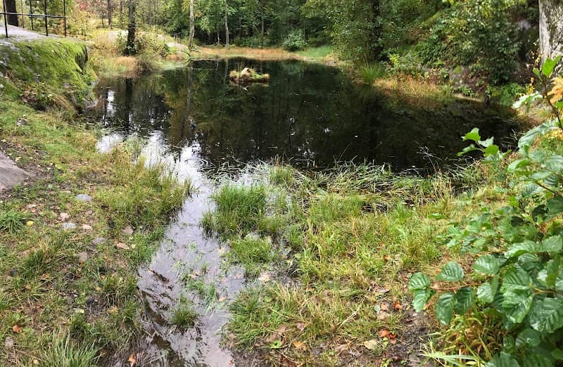 Svarttjern - Image 2
