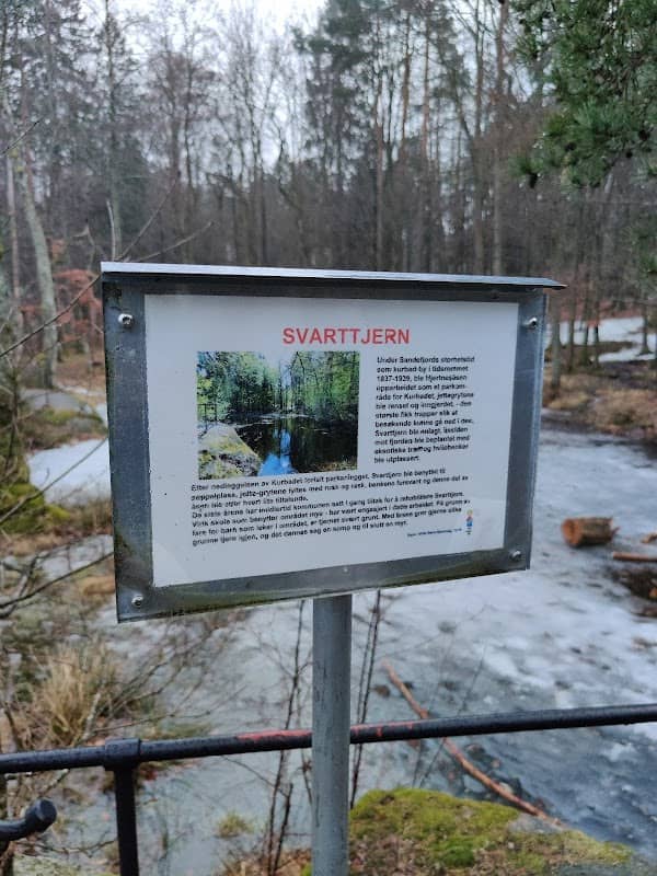Svarttjern - Image 3