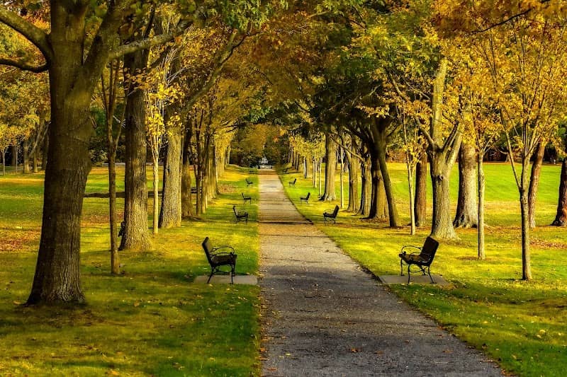 Capitol Park - Image 2