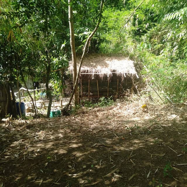 Camp Gubat Elyu - Image 1