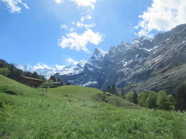Unterstock - Image 1