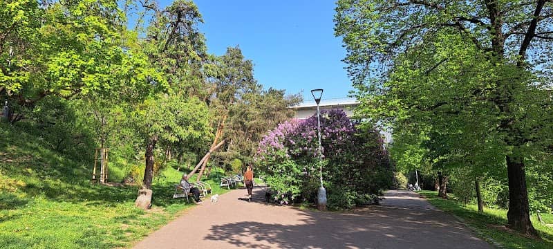 Lilac Bench - Image 2