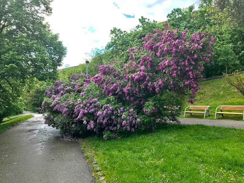 Lilac Bench - Image 3