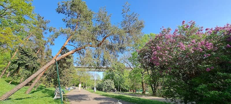 Lilac Bench - Image 1