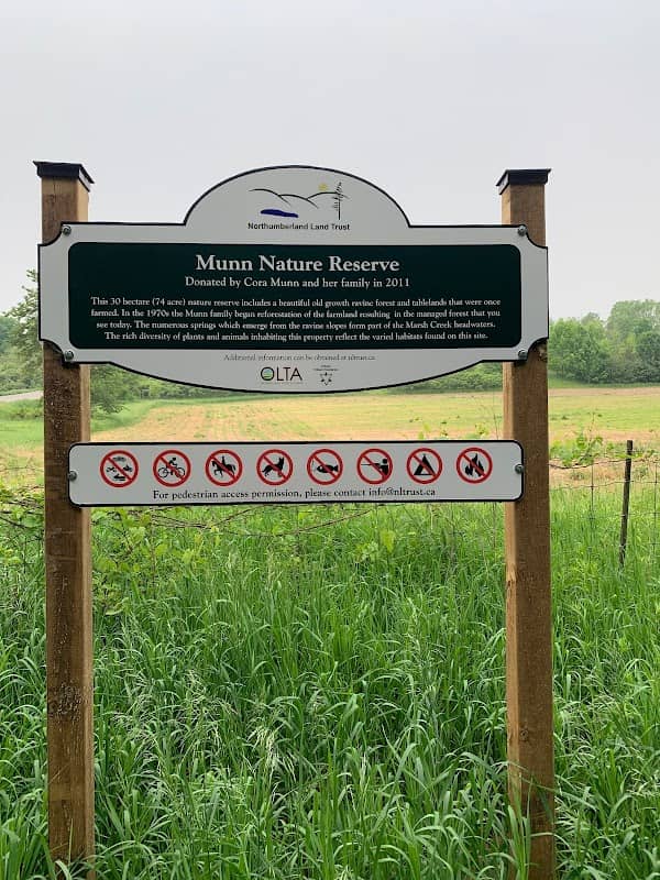 Munn Tract Reserve - Image 2