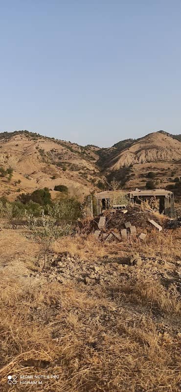 الشحامة ماريح - Image 2