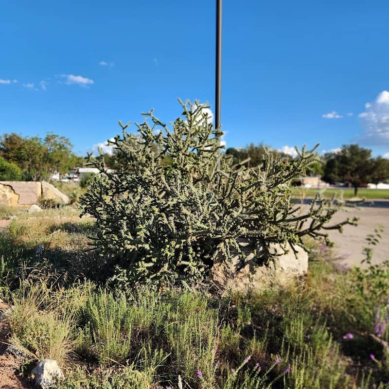 Visitor Center Park - Image 2