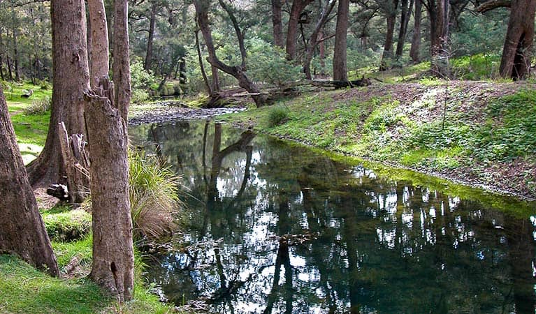 Turon National Park - Image 2