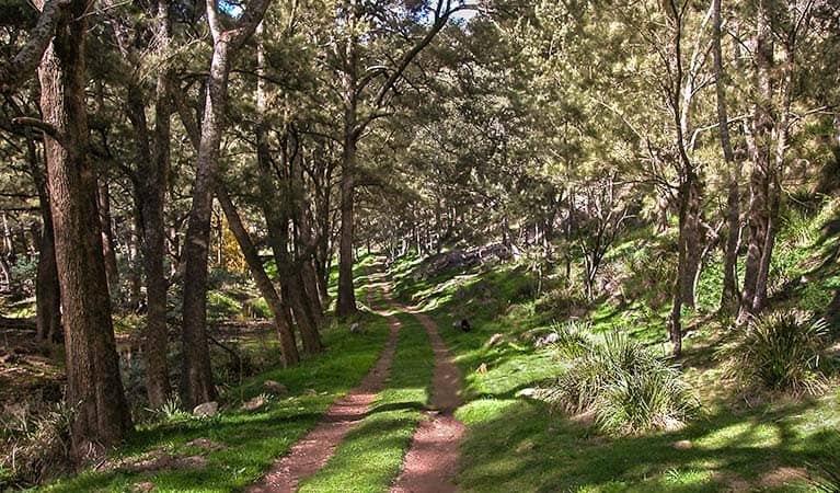 Turon National Park - Image 1