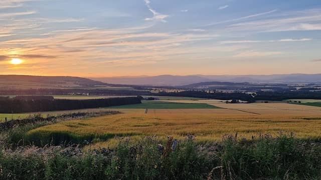 Carrot Hill - Image 1