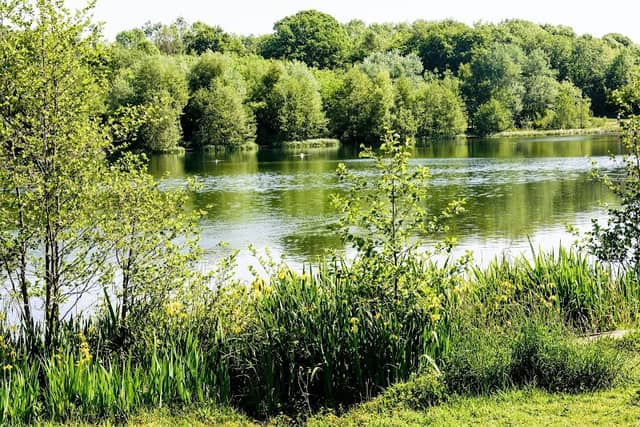 Holmebrook Valley Park - Image 1