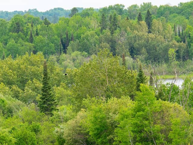 Terry Fox Waterfront Trail - Image 1