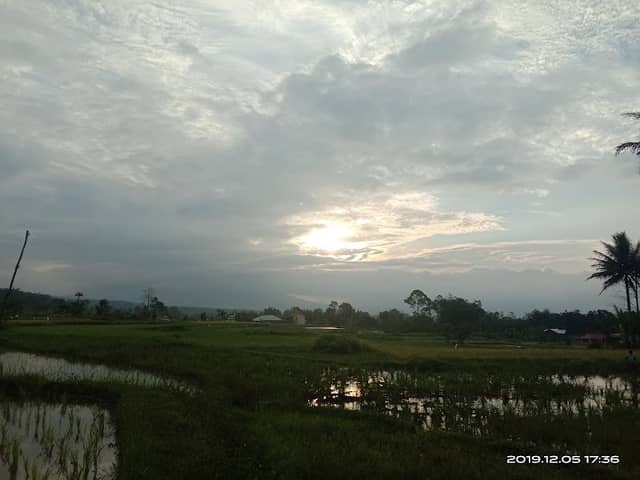 V KAUM - Image 1