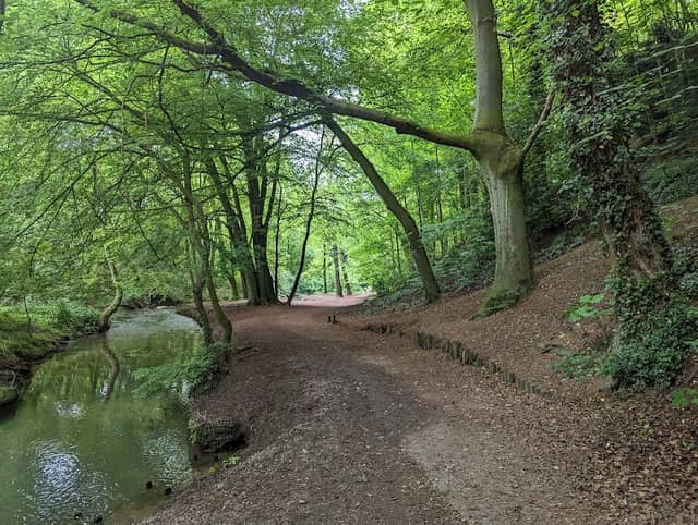 Hubbard's Hills - Image 2