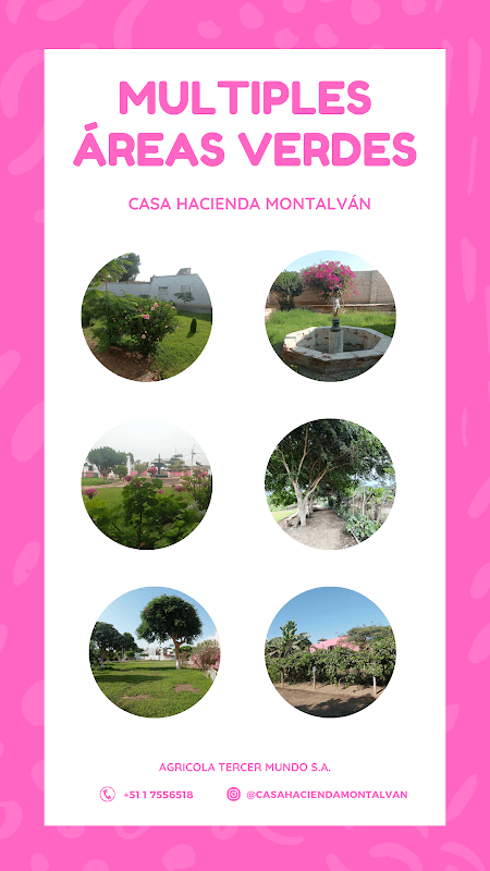 Casa Hacienda Montalván - Image 2