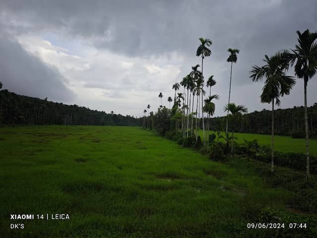 Kanayi vayal - Image 1