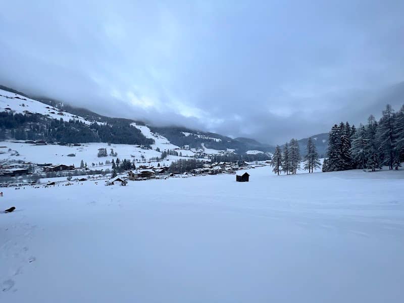 Skilift Waldheim - Image 3