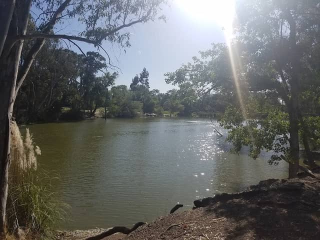 Ellis Lake Park - Image 2