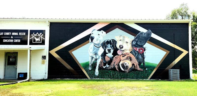 'Rescued' Mural - Image 1