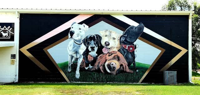'Rescued' Mural - Image 2