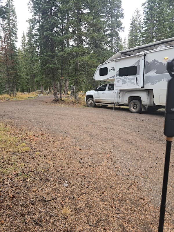 Sweet winter camping spot for us and Larry - Image 1