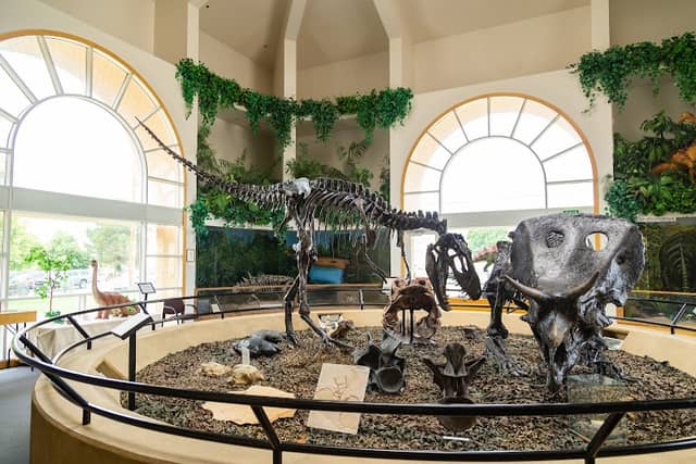 Museum of the San Rafael - Image 2