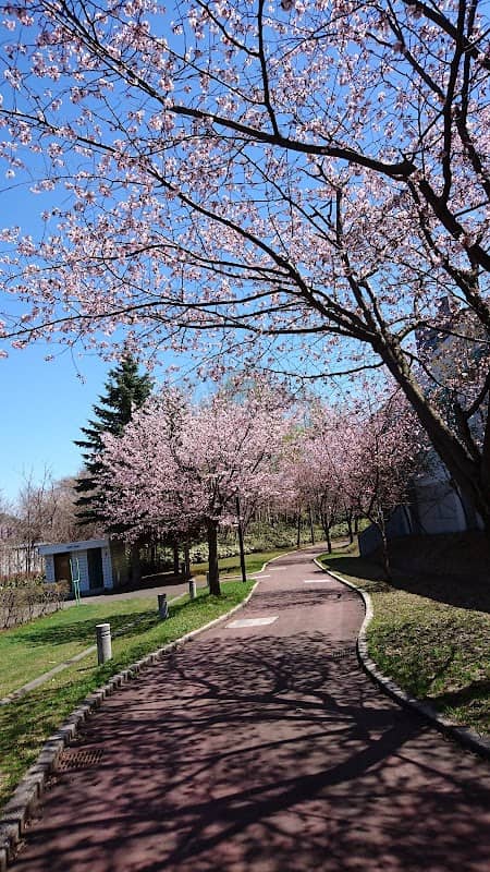 Nakanosawa Park - Image 2