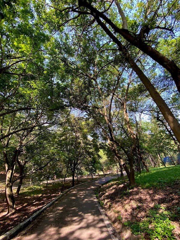 Parque Ecológico Dionísio Alvarez Mateos - Image 1