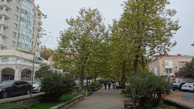 Platanovaya Alleya - Image 1