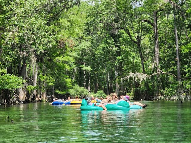 Ichetucknee Springs State Park - Image 3