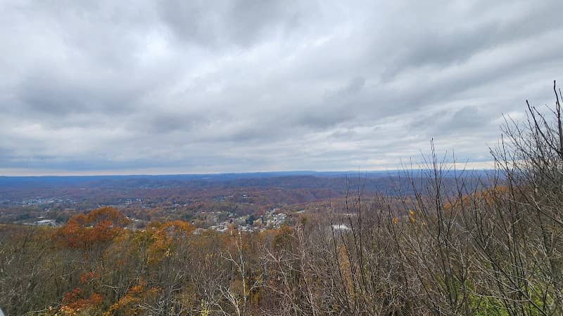 Almost Heaven Swing at East River Mountain Overlook - Image 1