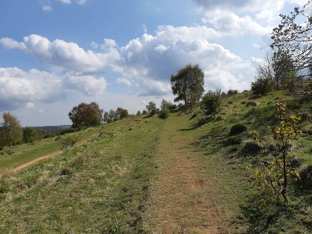 Rudge Hill Nature Reserve - Image 2