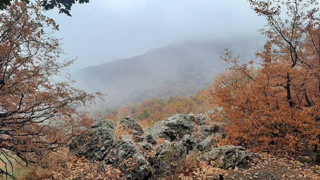 Viewpoint - Image 2
